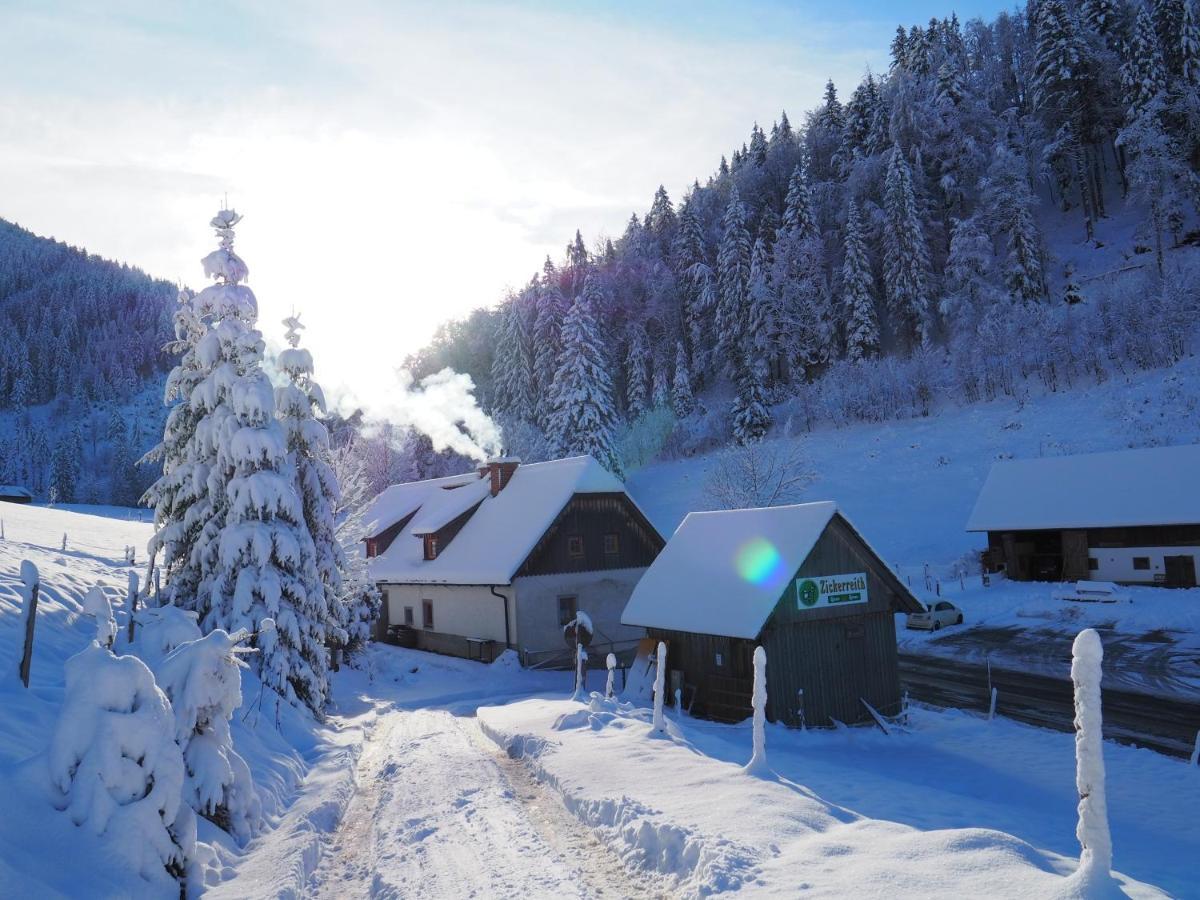 Rosenau am Hengstpass Zickerreith Almhutte旅舍 外观 照片