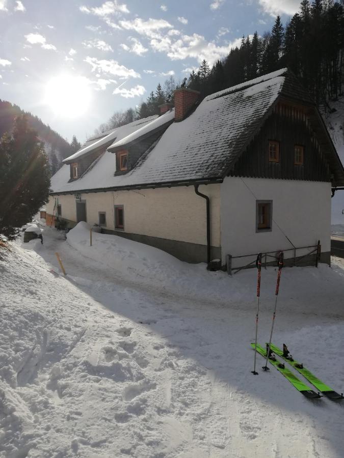 Rosenau am Hengstpass Zickerreith Almhutte旅舍 外观 照片